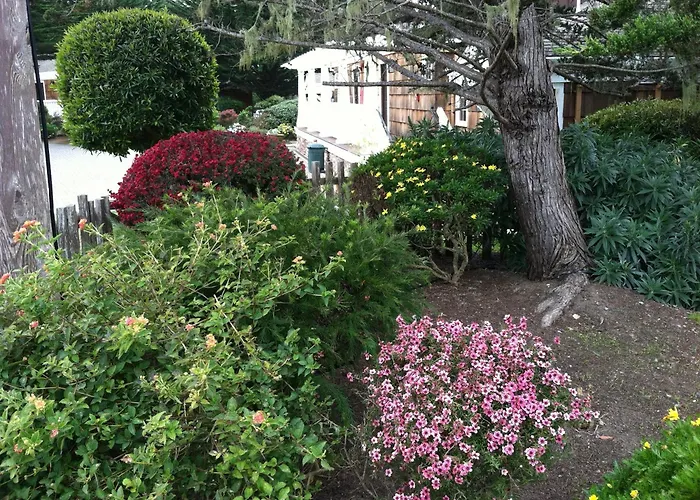 Lighthouse Lodge & Cottages